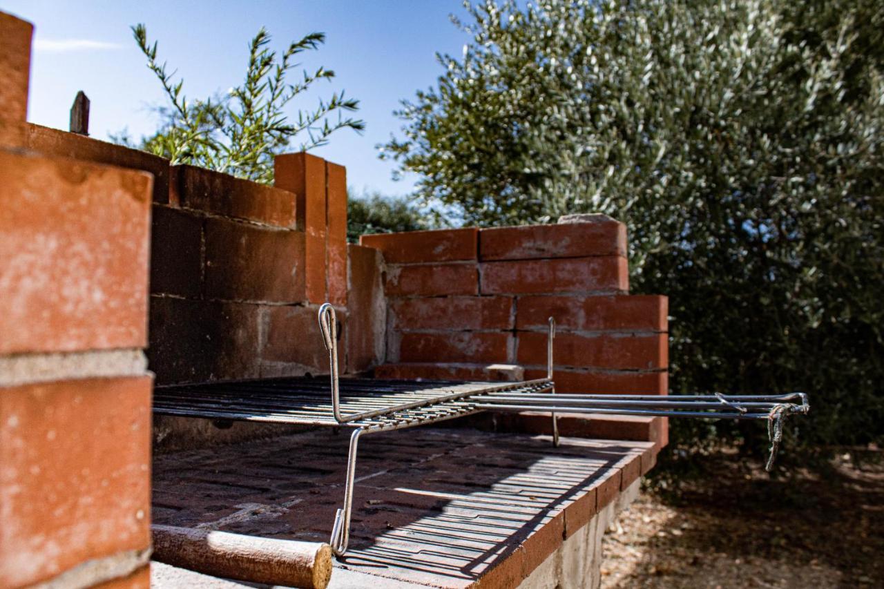 Corte Dell'Ulivo San Giuliano Terme Buitenkant foto